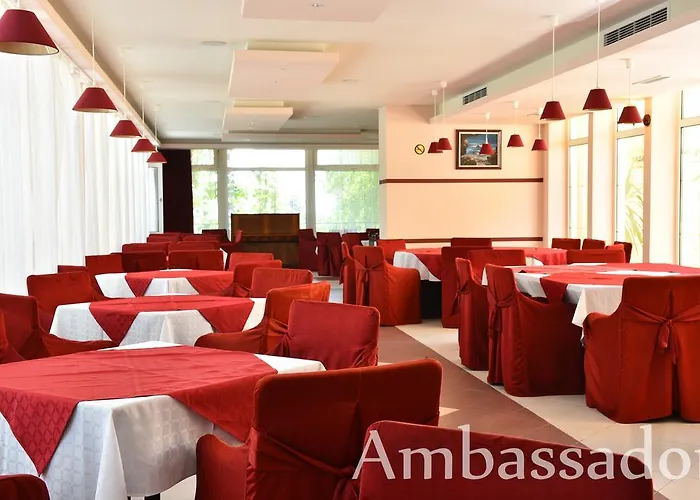 Hotel Ambassador - Free Parking 3*