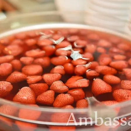 호텔 Ambassador 3*