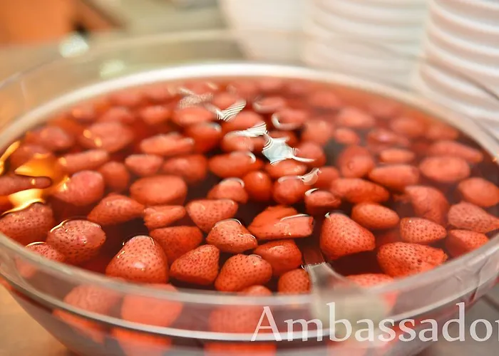 Hotel Hotel Ambassador - Free Parking 3*